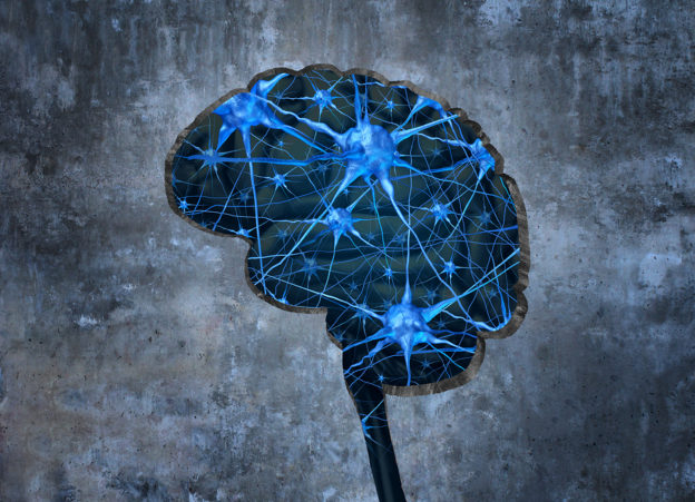 human neurology, reverse brain age, improve brain activity, reverse alzheimers