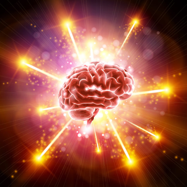 neuroscience, neuroplasticity, how to regain memory, exercise brain, brain power, regain intelligence