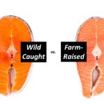 Is Farm-Raised Salmon Really Toxic?