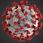 Natural Ways to Boost Your Immunity Against Coronavirus