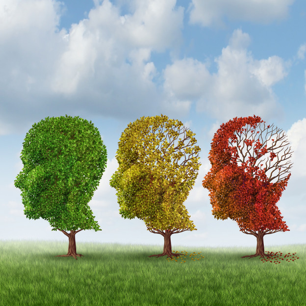 Neurodegenerative, alzheimers disease, brain aging