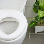 Bowel Problems? The African Solution