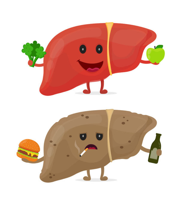 carbohydrates and fatty liver, how to clear a fatty liver, do fatty foods make your liver fat, what to do for NAFLD, how do you get NAFLD, fatty liver and heart disease, best diet to reduce fatty liver, Mediterranean diet and NAFLD,